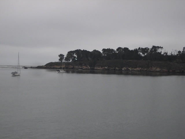 IMG_7930.JPG