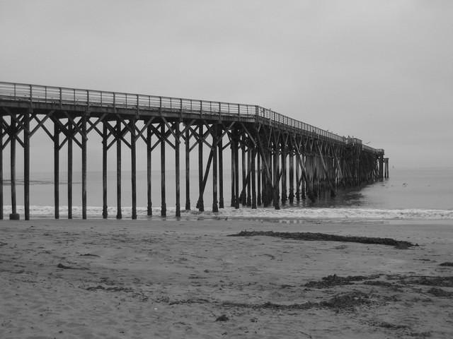 IMG_7934.JPG
