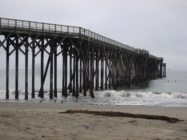 IMG_7936.JPG