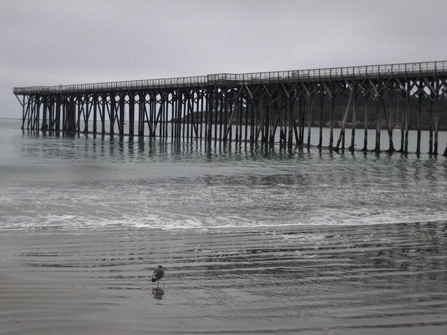 IMG_7938.JPG