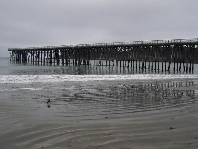 IMG_7939.JPG