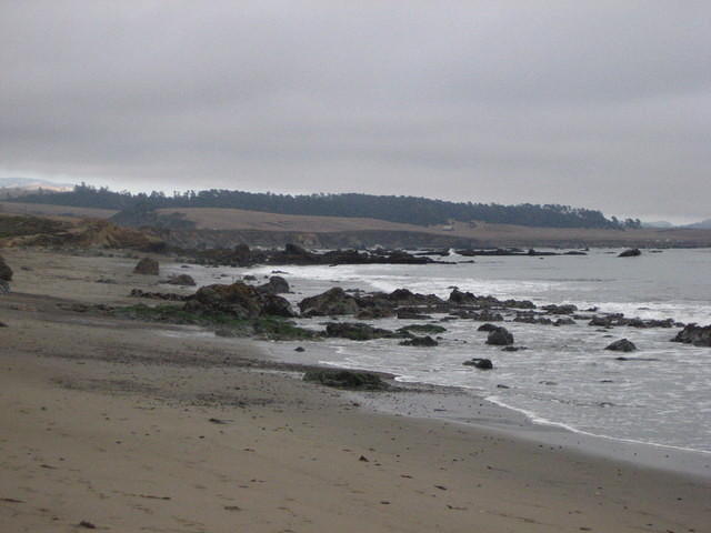 IMG_7941.JPG