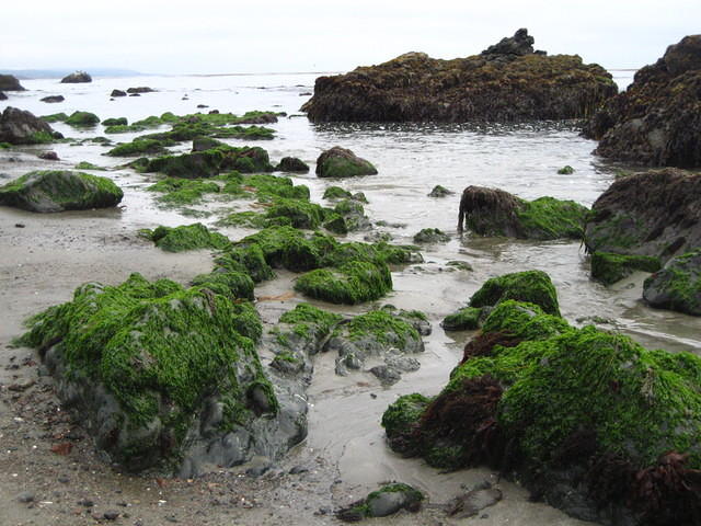 IMG_7944.JPG