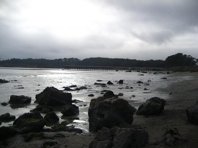 IMG_7945.JPG