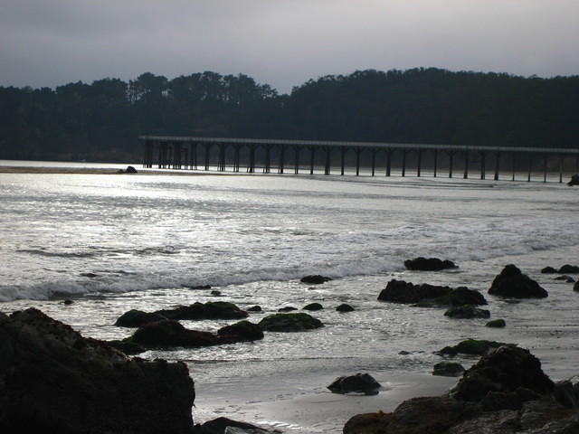 IMG_7948.JPG