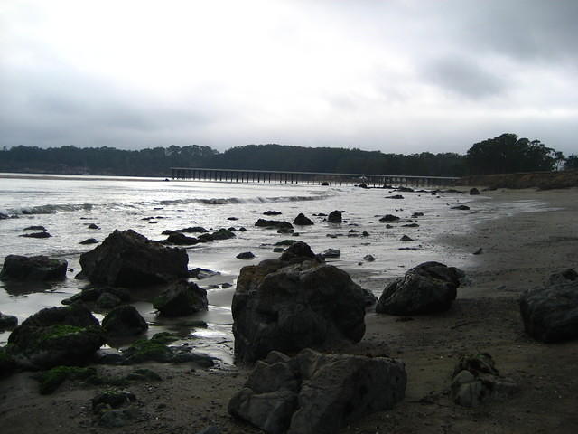 IMG_7949.JPG