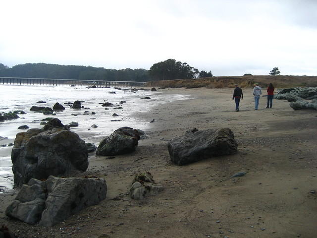 IMG_7950.JPG
