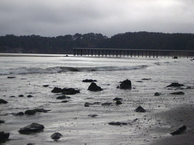 IMG_7951.JPG