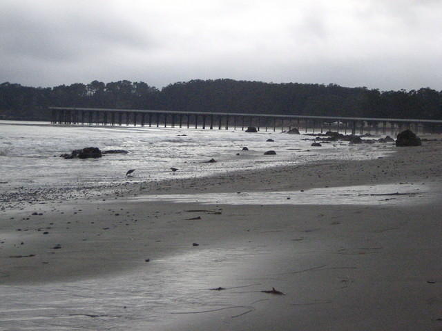 IMG_7952.JPG