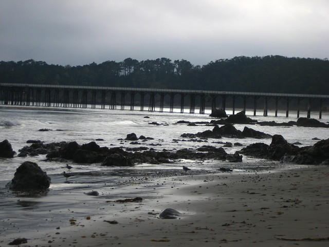 IMG_7953.JPG