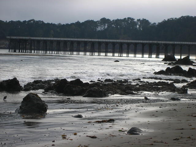IMG_7954.JPG