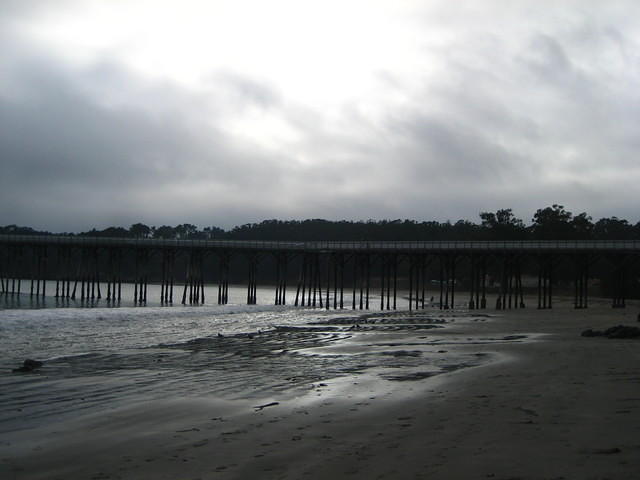 IMG_7955.JPG
