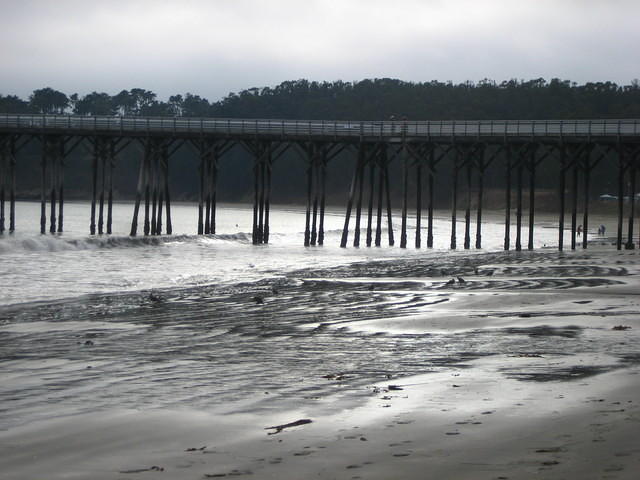 IMG_7956.JPG