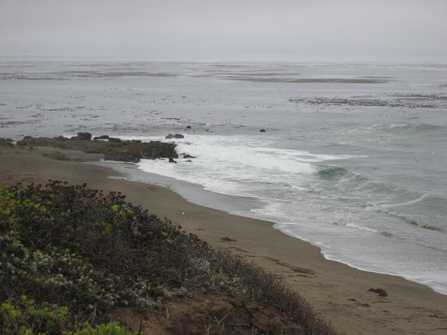 IMG_8025.JPG