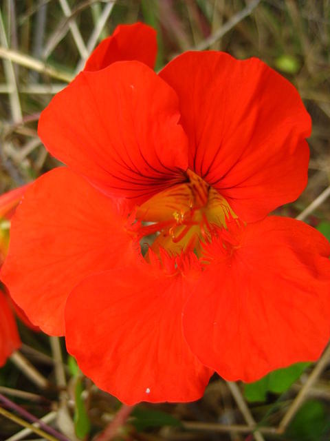 IMG_8070.JPG