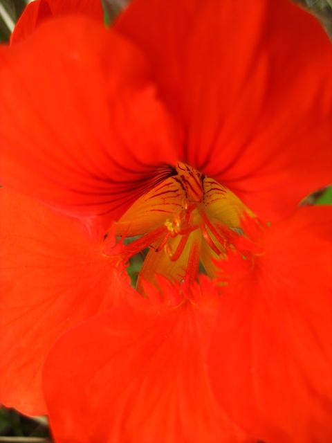 IMG_8071.JPG