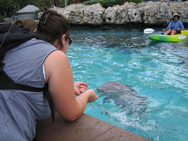 IMG_1486.jpg