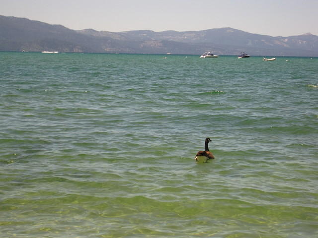 IMG_5227.JPG