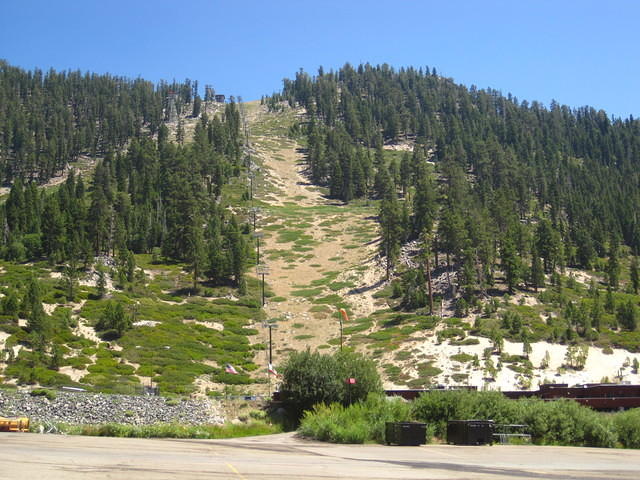 IMG_5231.JPG