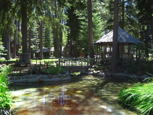 IMG_5307.JPG
