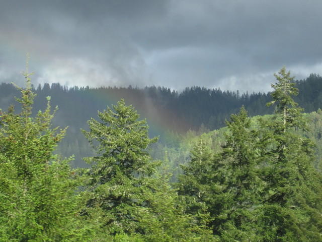 IMG_0218.jpg