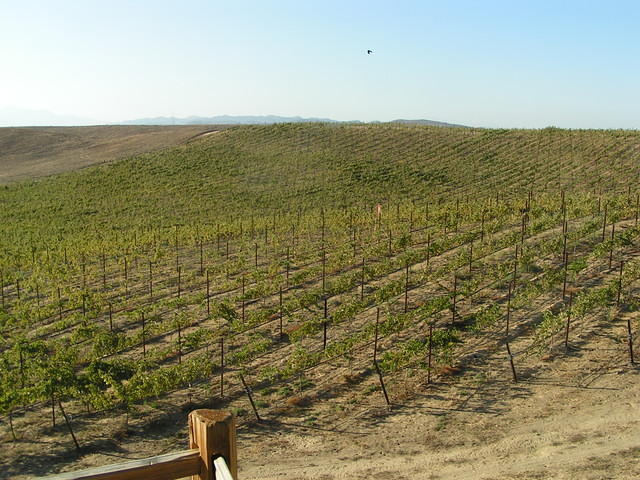 PICT0186.jpg