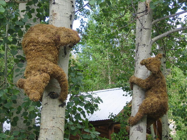 More topiary bears