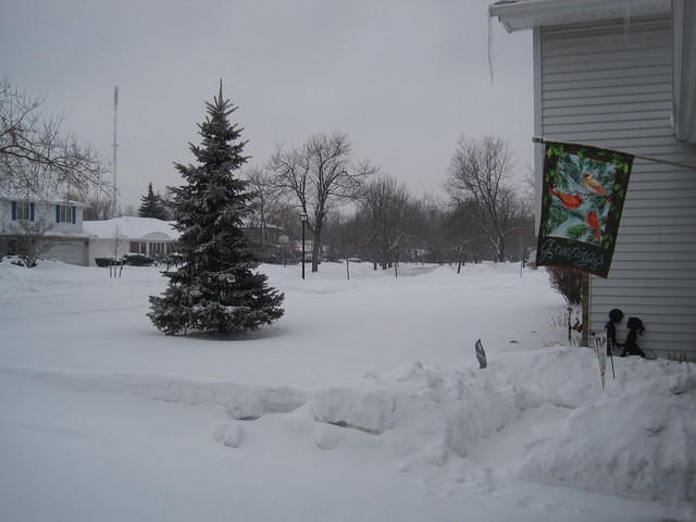IMG_0558.JPG
