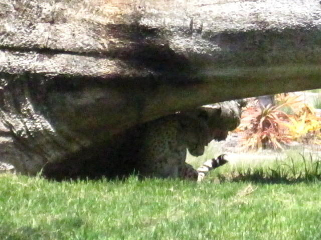 IMG_1222.JPG