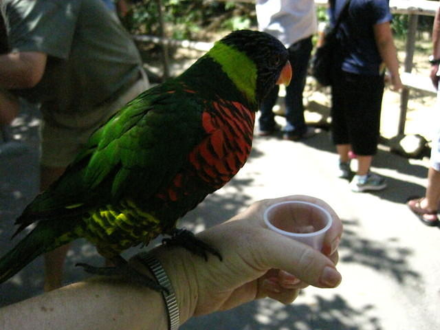 IMG_1230.JPG