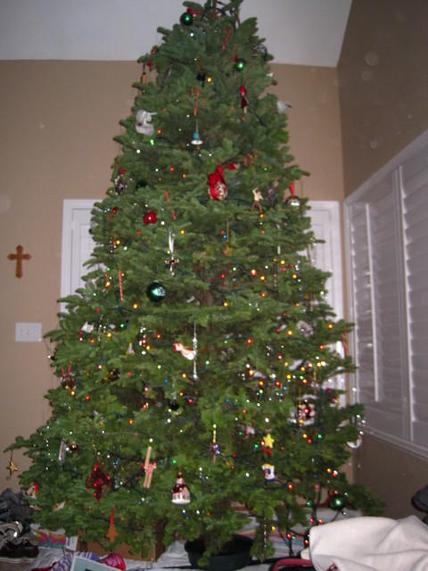 IMG_6517.JPG