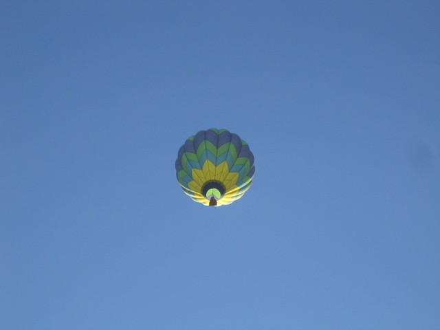 IMG_4931.jpg