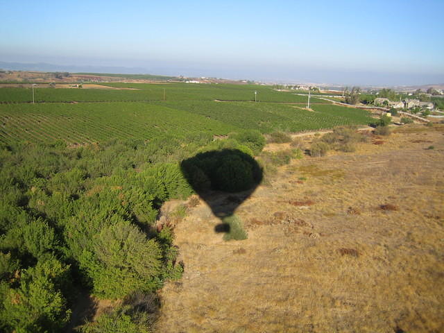 IMG_4946.jpg