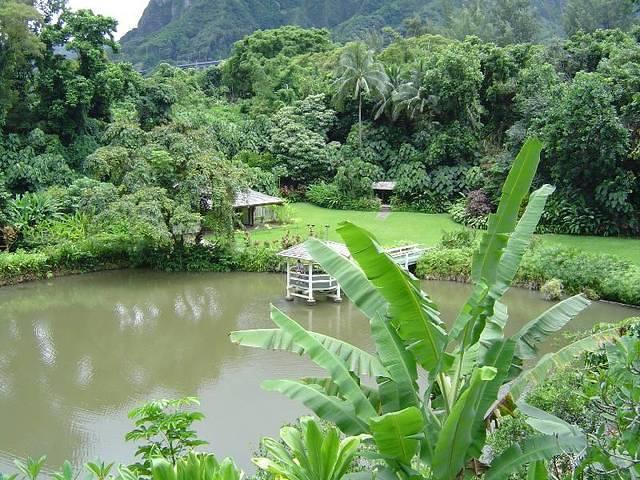 DSC01042.JPG