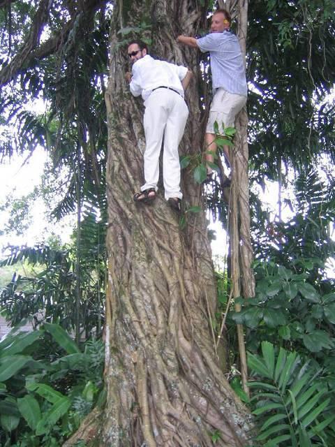 hawaii 104.jpg