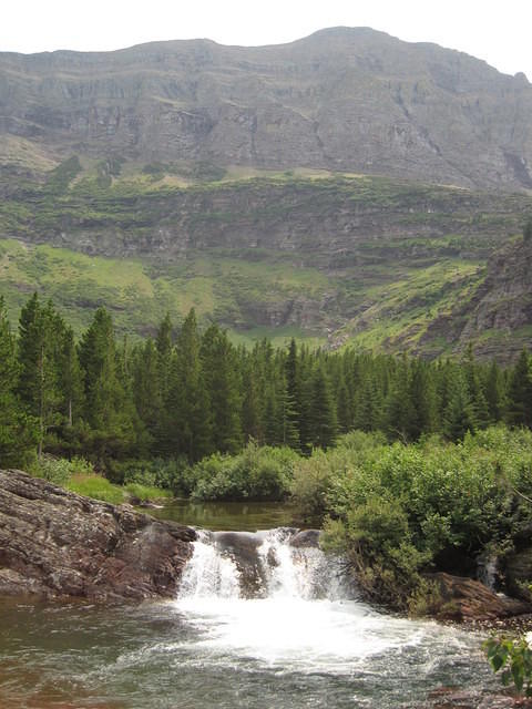 IMG_8927.JPG