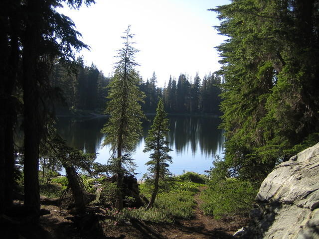 IMG_4674.jpg