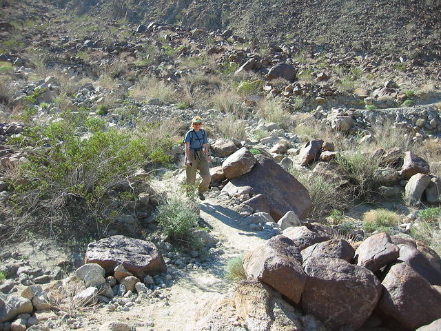 153-5331_IMG.JPG