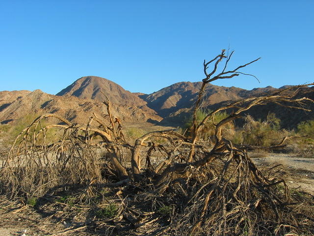 153-5368_IMG.JPG