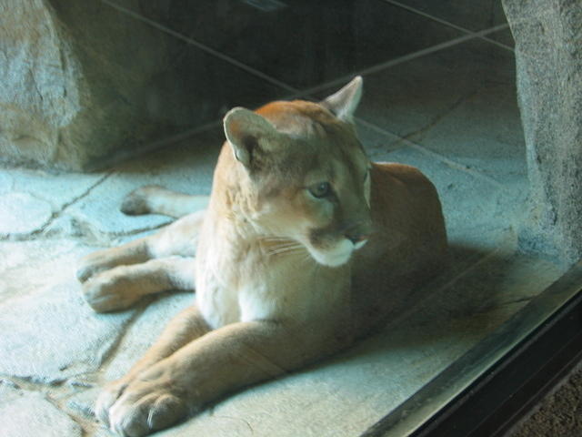 153-5375_IMG.JPG