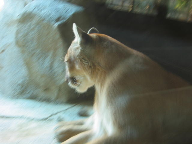153-5376_IMG.JPG