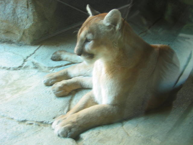 153-5377_IMG.JPG