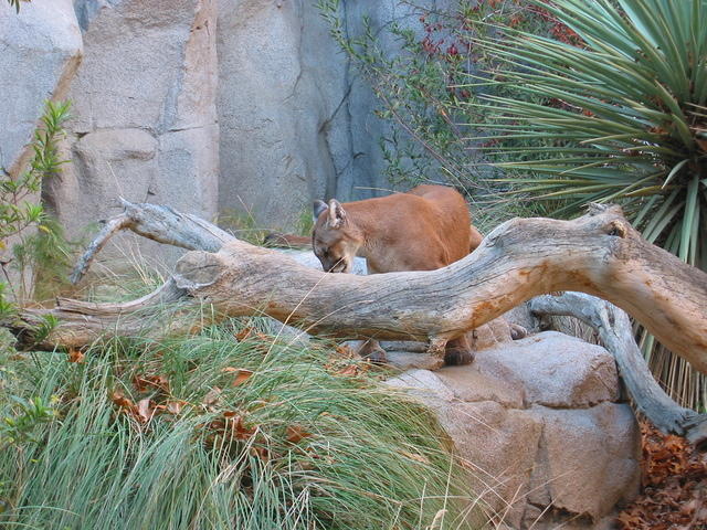 153-5380_IMG.JPG