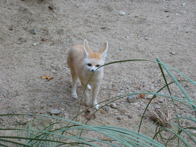 153-5383_IMG.JPG