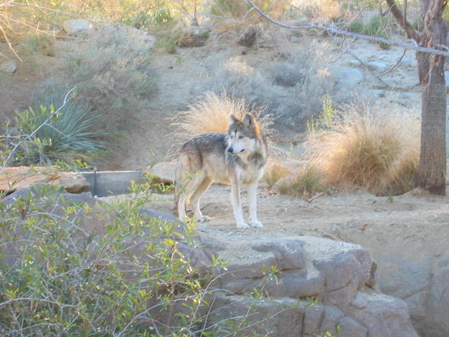153-5394_IMG.JPG