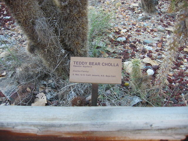 153-5398_IMG.JPG
