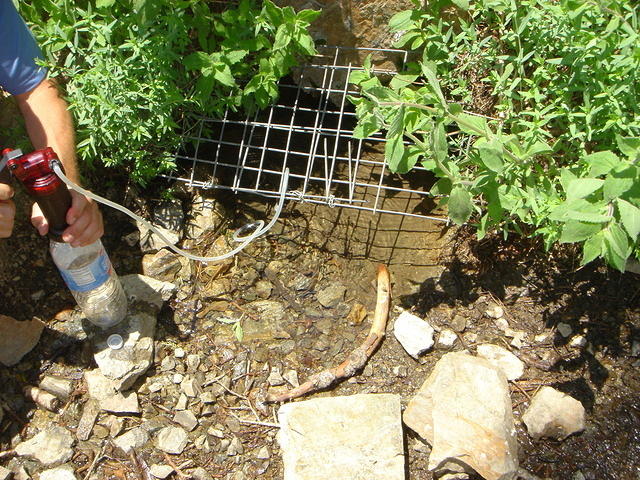 Lamel Spring