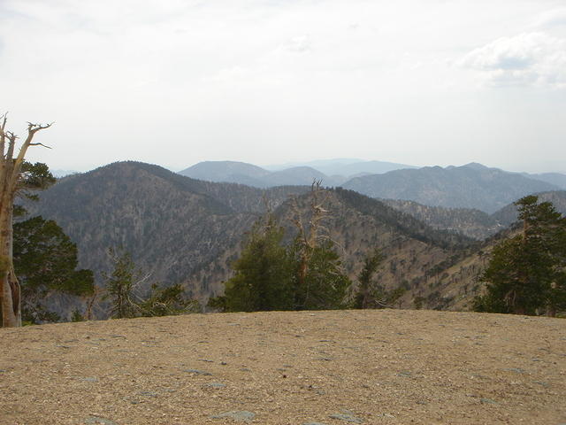 June 2006 121.jpg