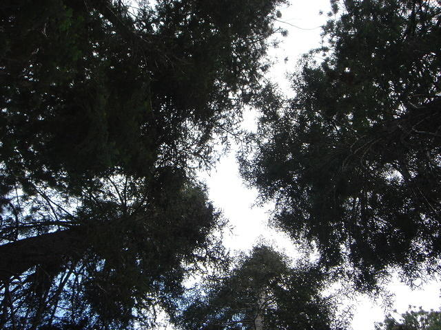 June 2006 131.jpg