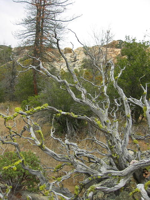 150-5034_IMG.JPG